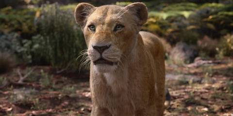 Nala in Disney's live action Lion King remake