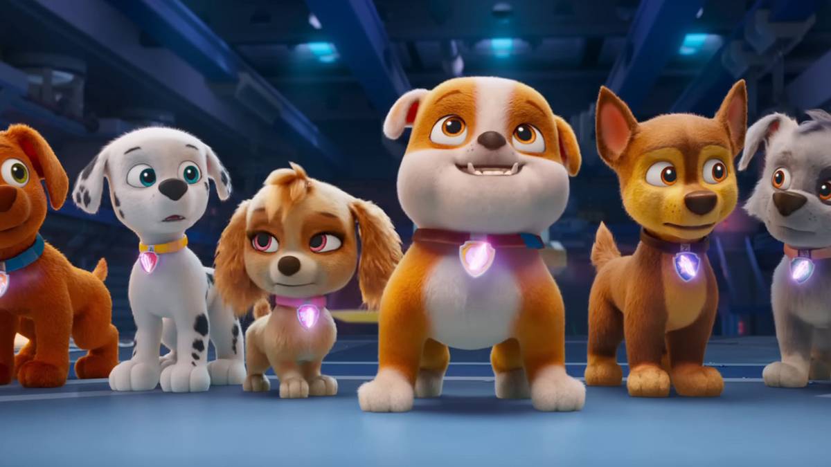 What Kind Of Dog Is Rocky From Paw Patrol: Discover His Breed!