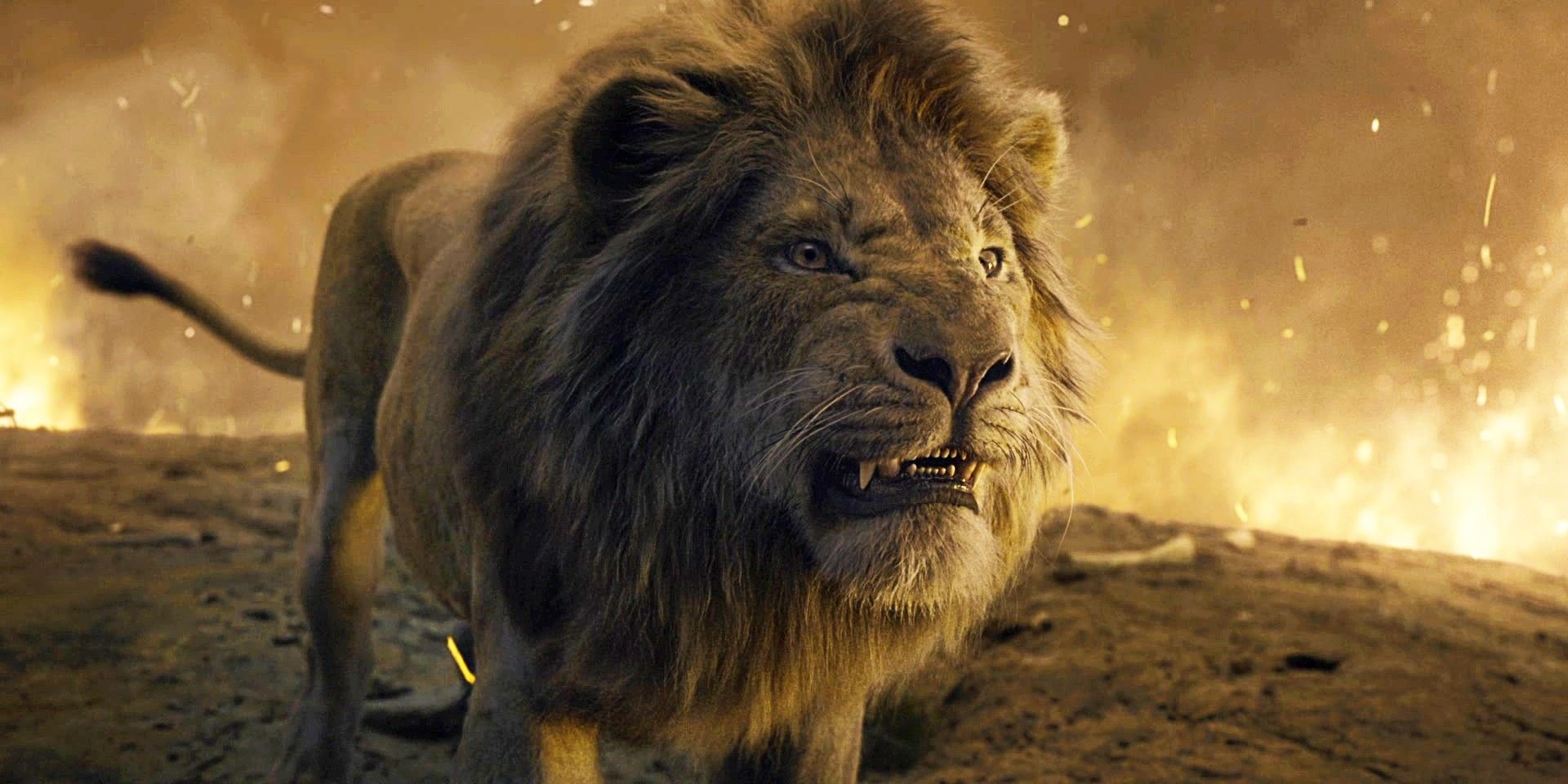 The 1 Scene In 2019's Live-Action The Lion King That Is Real & Not CGI