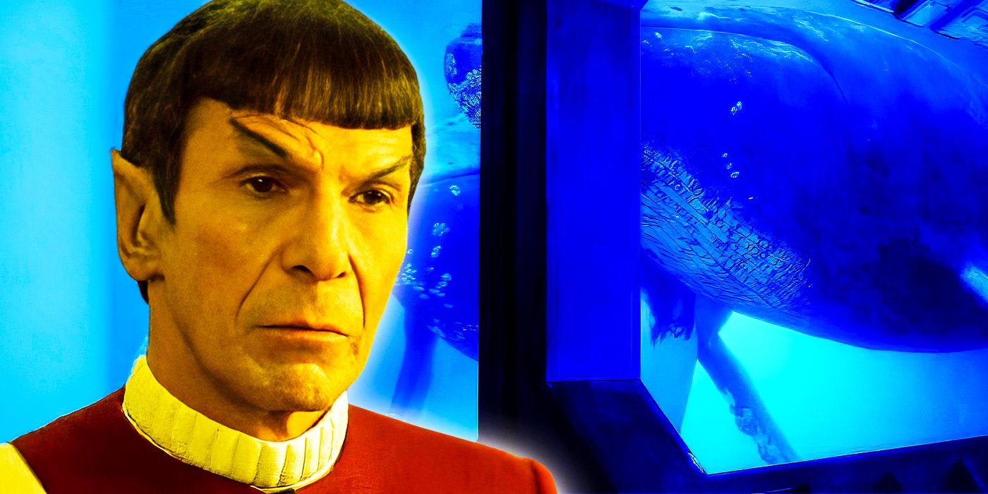 40 Years Later, Star Trek Is Finally Fixing 1 of Its Most Infamous Plot ...