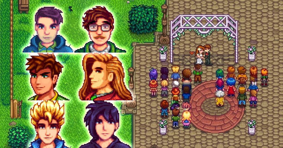 Stardew Valley: All 12 Marriage Candidates & What Their Personalities Are