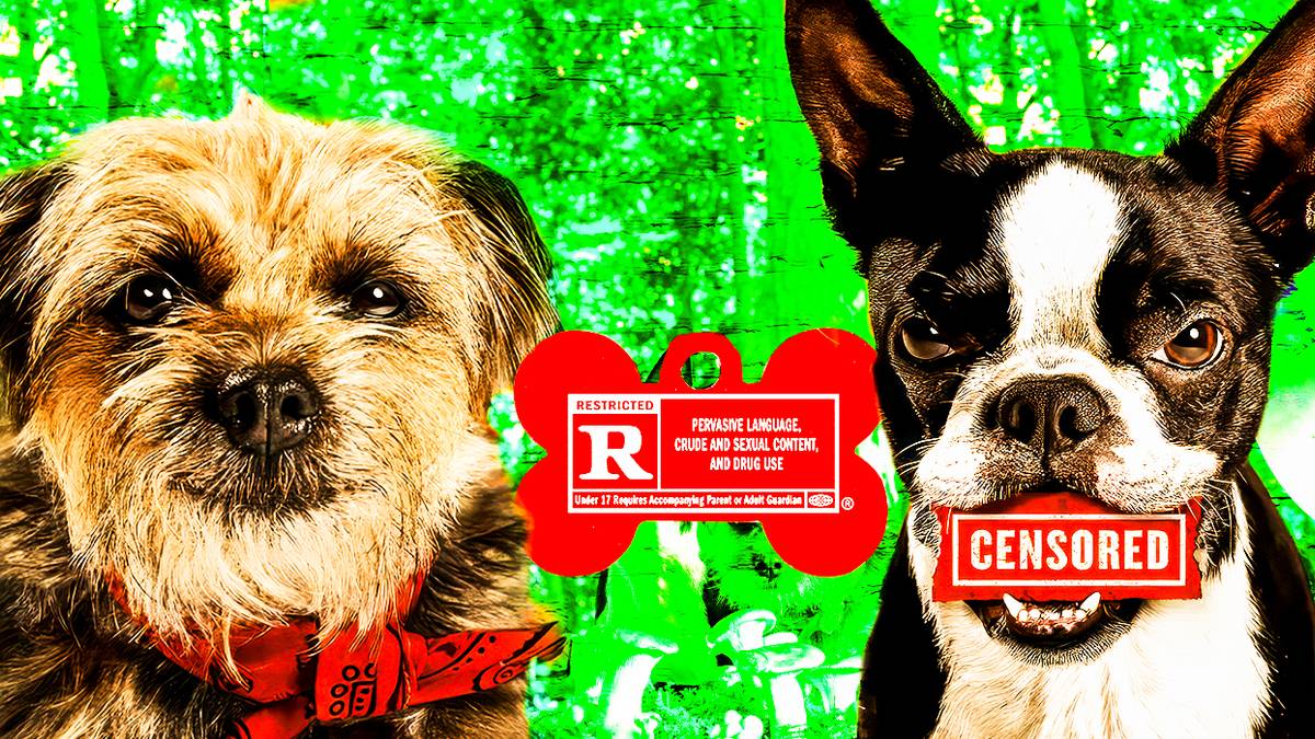 Strays Rotten Tomato How Raunchy Is Strays? Does Will Ferrell's Movie Earn Its R-Rating?