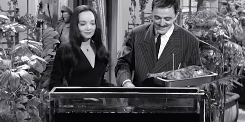 The Addams Family Morticia Gomez Piranhas Tristan Isolde