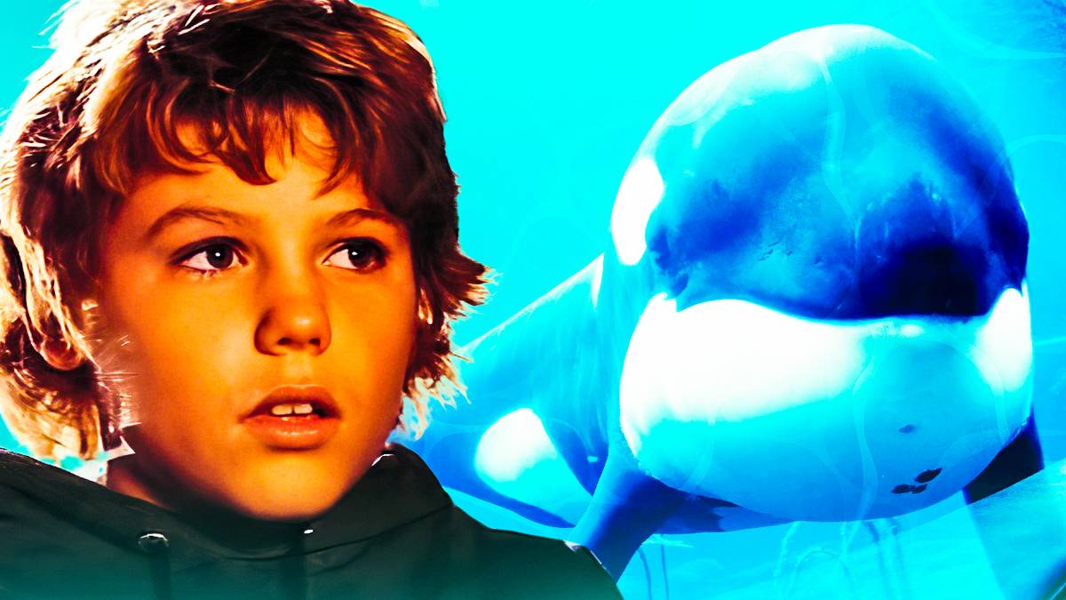 What Happened To The Whale From Free Willy After The Movie, image size:1200x675