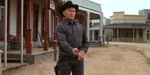 Westworld Summary, Trailer, Cast, Where to Watch and More