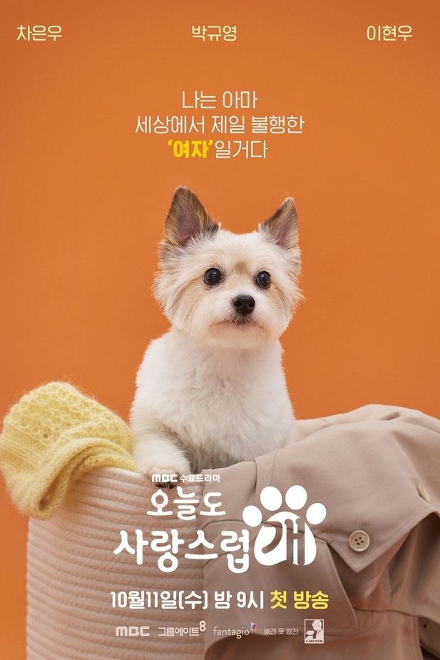 A Good Day To Be A Dog