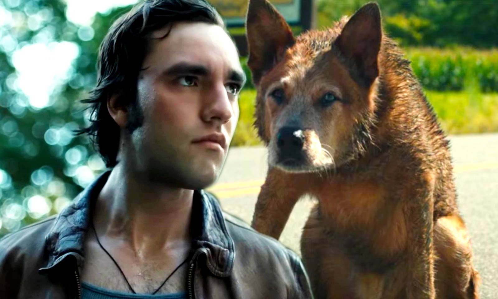 Pet Sematary: Bloodlines Video Reveals Inclusion Of Backstory From Stephen King Book