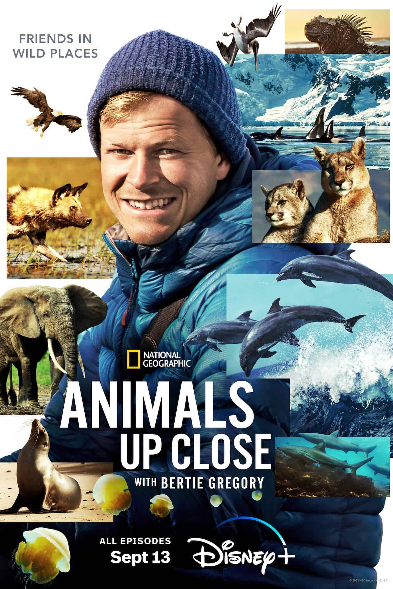 Animals Up Close With Bertie Gregory