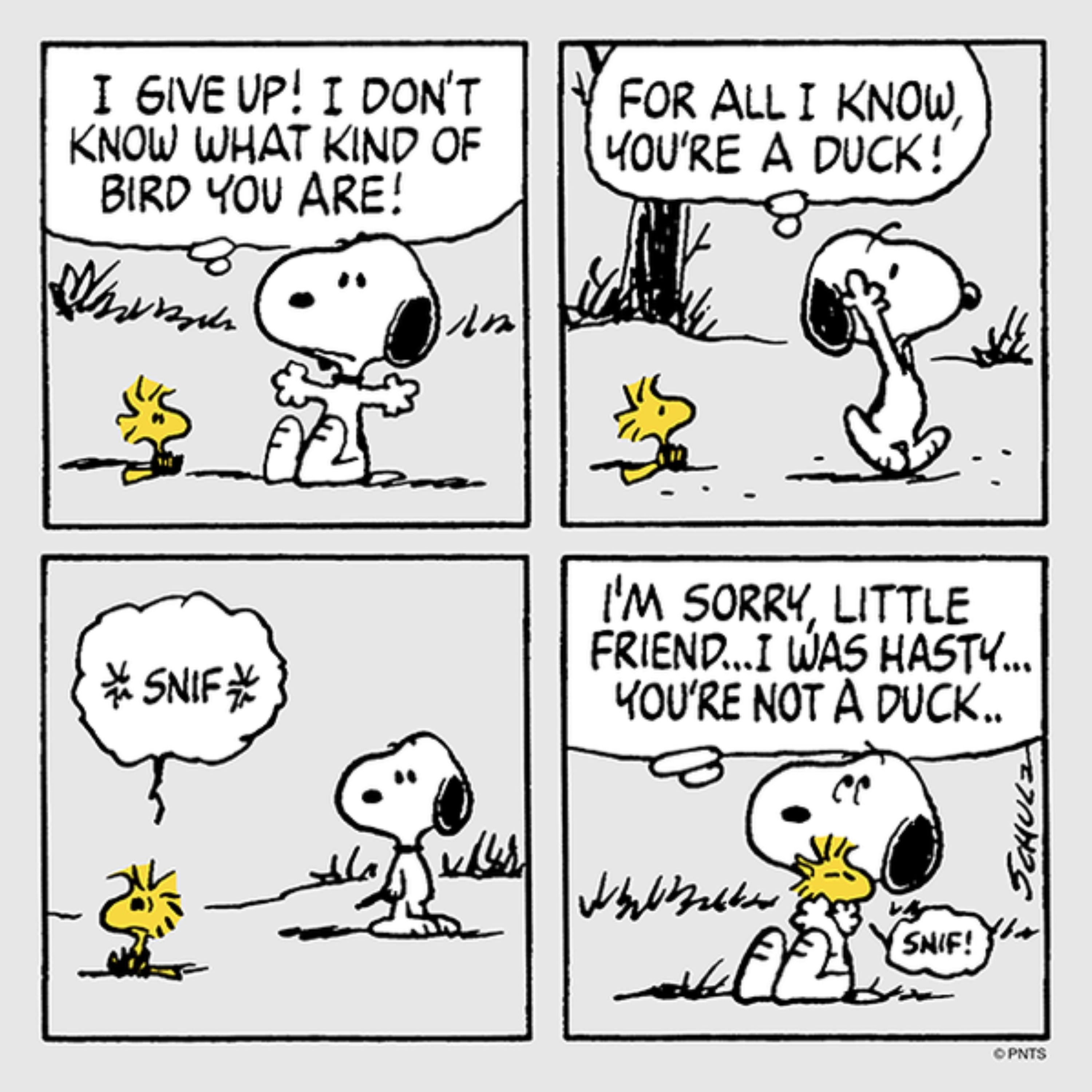 Snoopy and Woodstock Strip