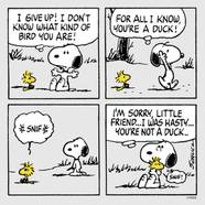 Peanuts 15 Most Heartwarming Snoopy Woodstock Best Friend Moments