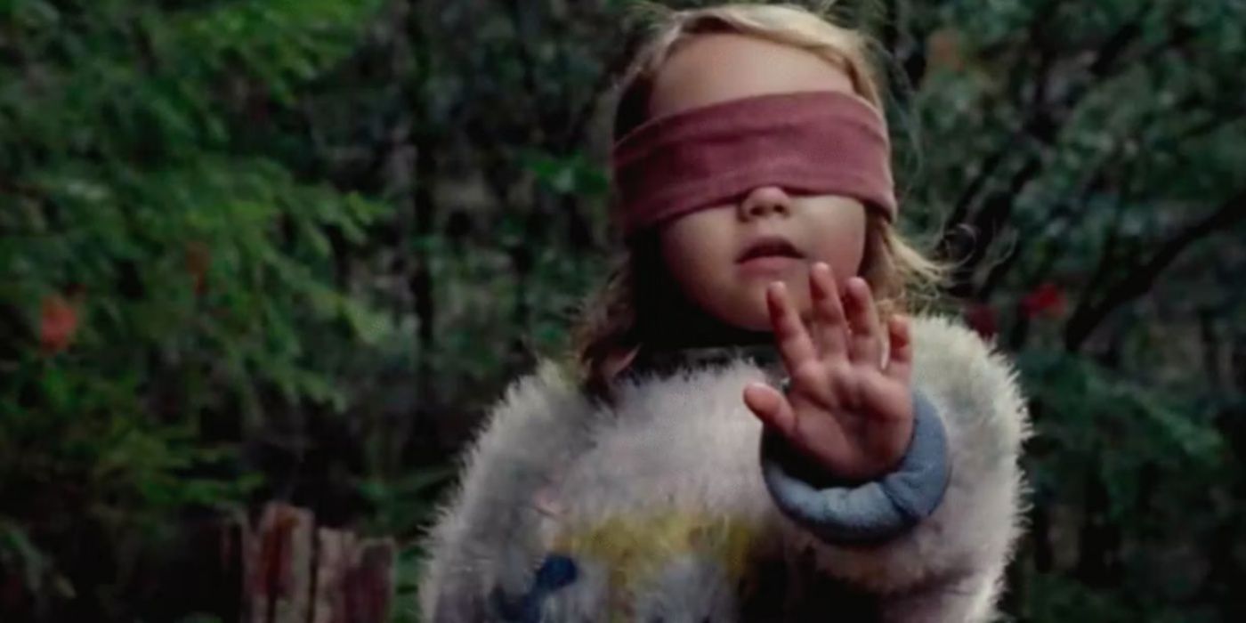 Bird Box: 20 Weird Details You Never Knew About The Creature