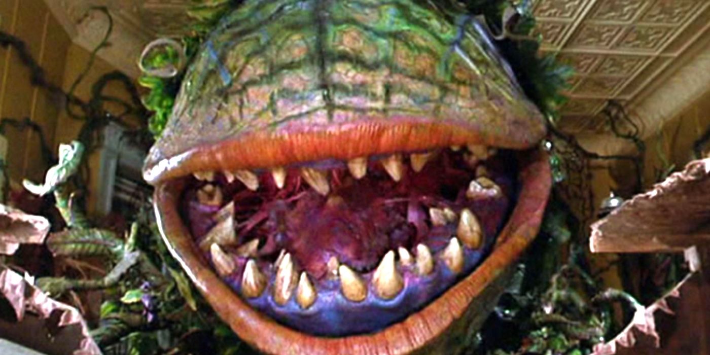 Audrey II baring its teeth in Little Shop of Horrors.