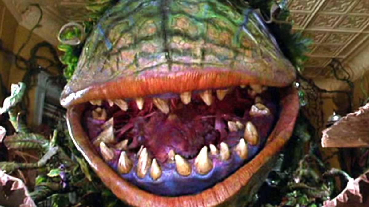 The Little Shop Of Halloween Horrors: Confirmation & Everything We Know  About The Reboot