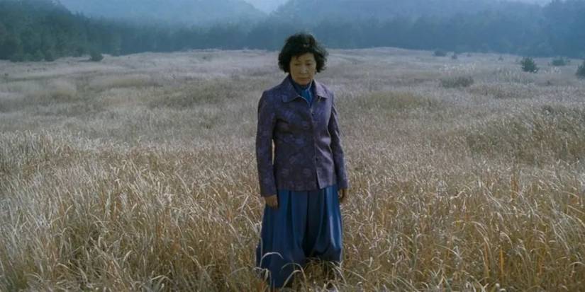 Kim Hye-ja em Mother: A Busca pela Verdade