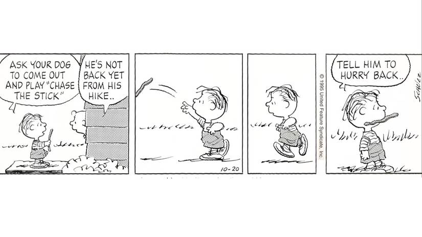 Peanuts: The 10 Funniest Moments Starring Rerun Van Pelt