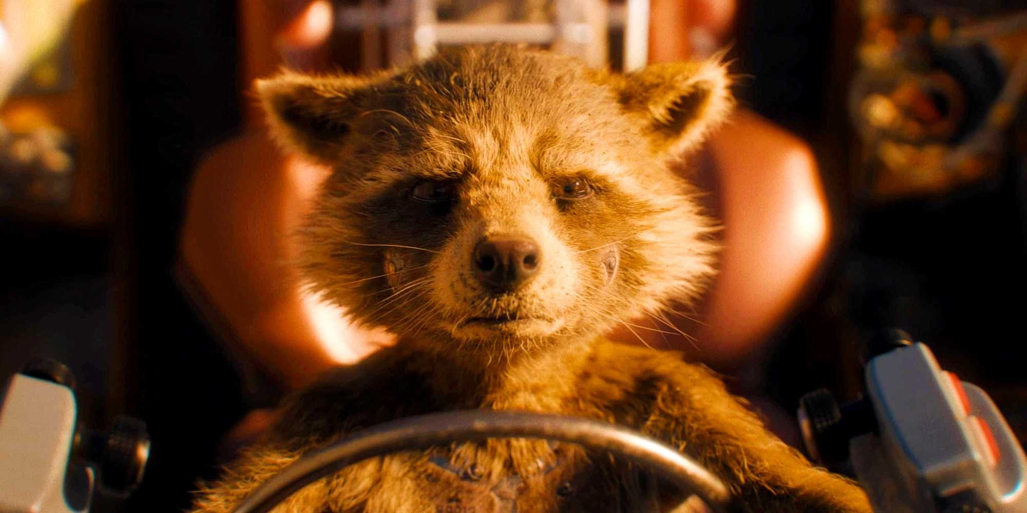 Rocket Racoon Said Scene