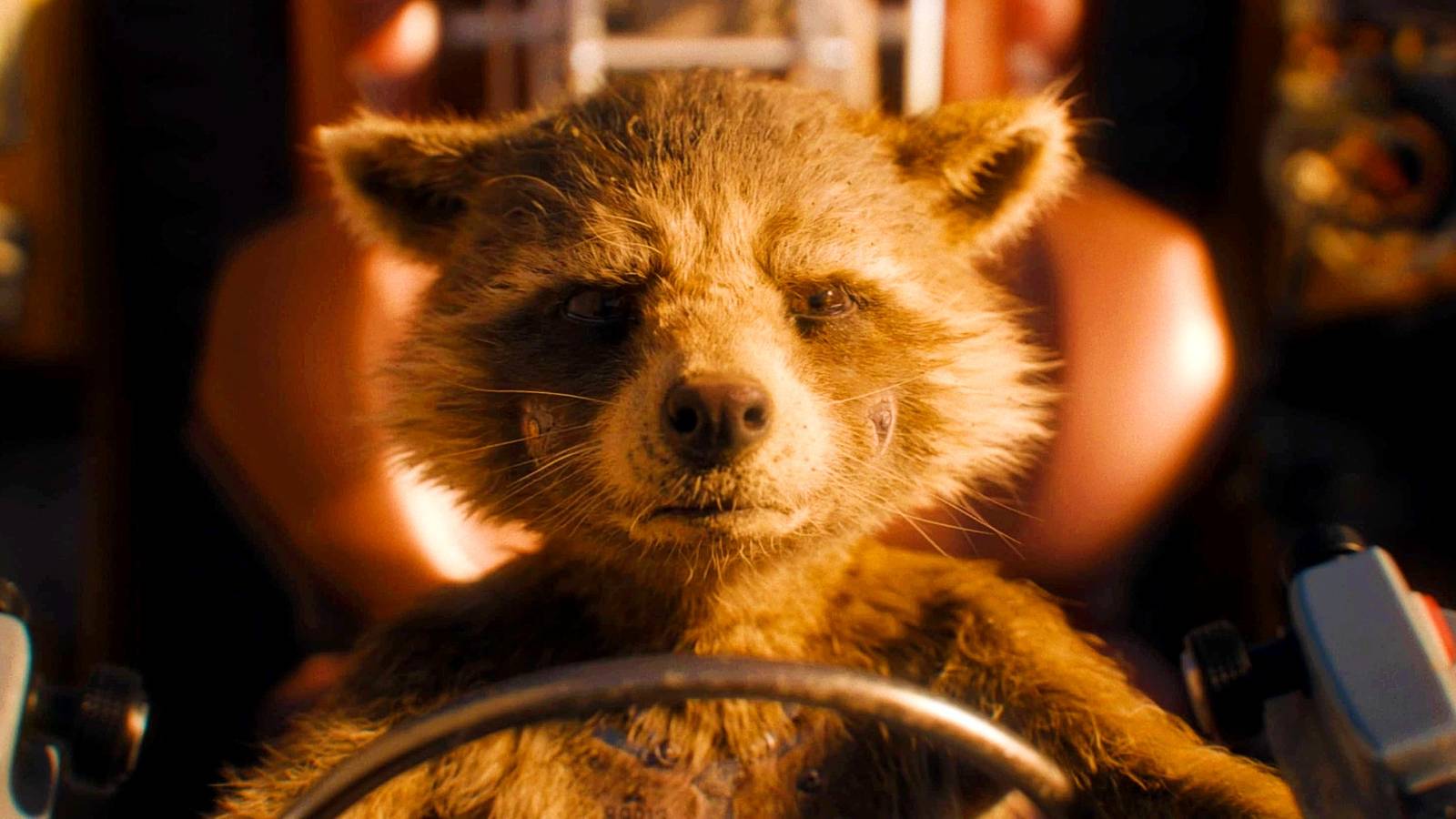 I Just Realized The Other Reason Rocket Doesn t Like To Be Called An i-just-realized-the-other-reason-rocket-doesn-t-like-to-be-called-an