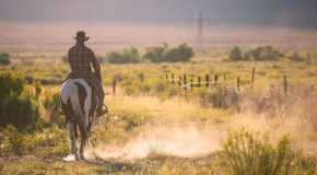 Yellowstone 6666 Jimmy