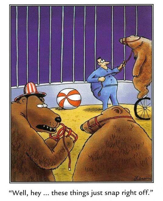 10 Funniest Far Side Comics Where Everybody Dies
