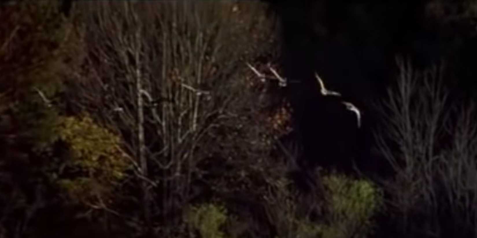 The Notebook Ending Explained: Alternate Streaming Version, Noah & Ally