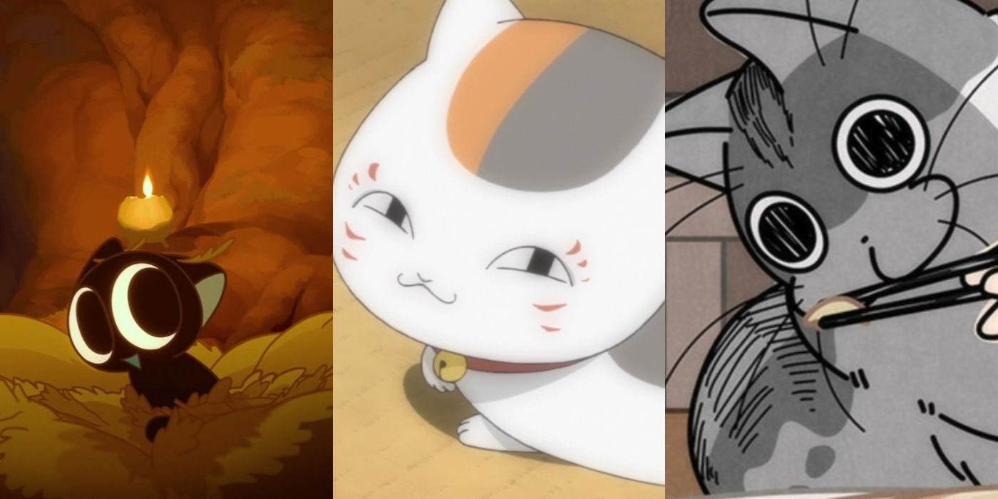 11 Cutest Anime Cats, image size:1400x700