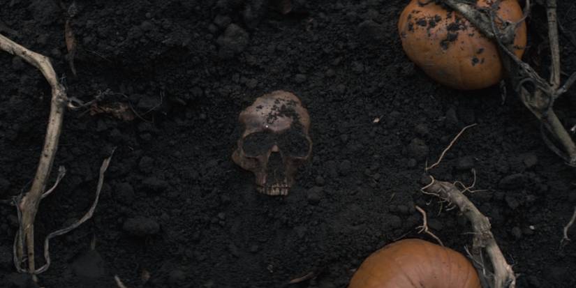 Череп девочки, которая исчезла на Хэллоуин в фильме "Cobweb", Ребекка Холбрук