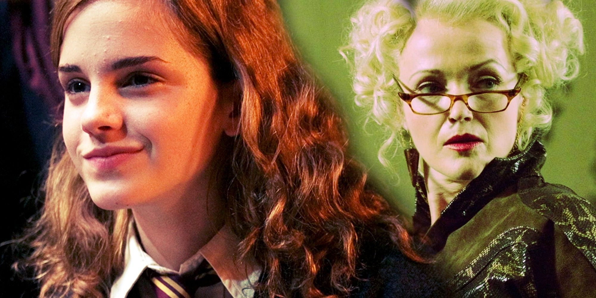 I'll Never Understand Why Hermione Is So Ruthless When it Comes To One Harry  Potter Character, image size:2000x1000