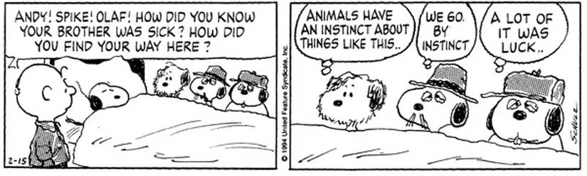 Peanuts Rover Peanuts: Snoopy Had More Siblings in the Comic Strip Than Even Most ...