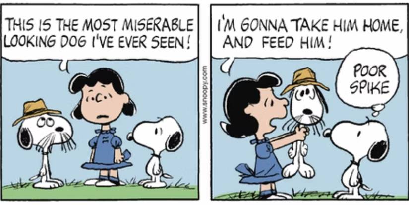 Peanuts Rover Peanuts: Snoopy Had More Siblings in the Comic Strip Than Even Most ...