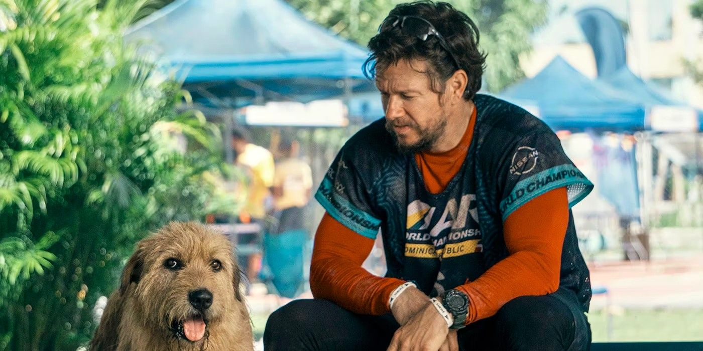 Mark Wahlberg To Star In Remake Of 2023 Comedy Movie