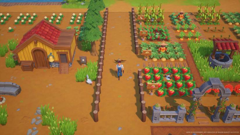 10 Best Crops For Every Season In Coral Island