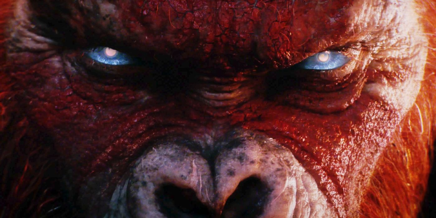 Bow To Your New King