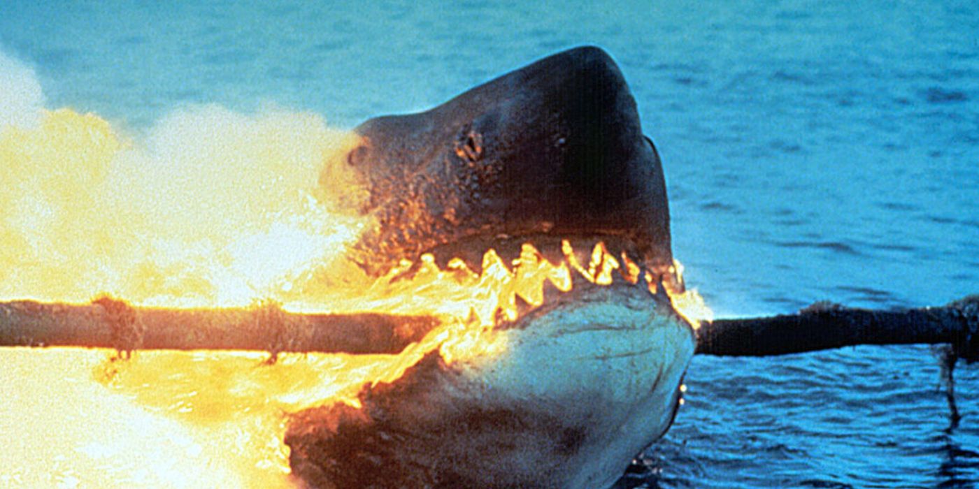 Every Jaws Movie Ranked, Worst To Best