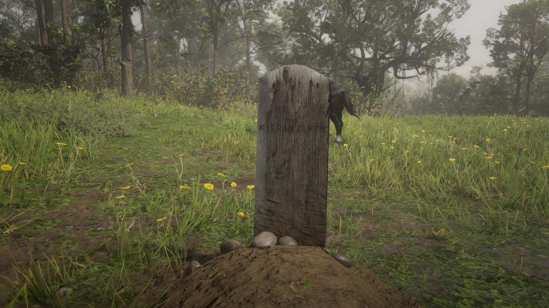 Red Dead Redemption 2: 12 Best Things to Do After Beating The Game