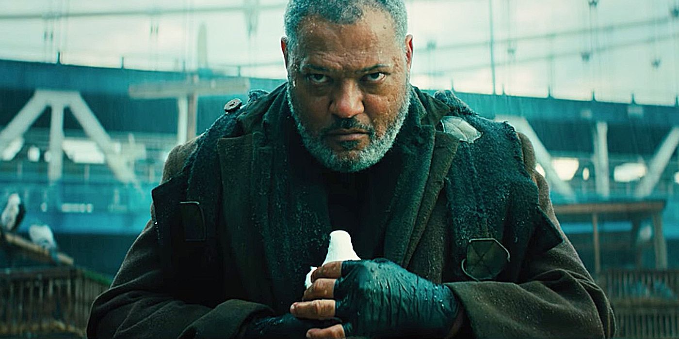 Laurence Fishburne as The Bower King Holding a Bird in John Wick