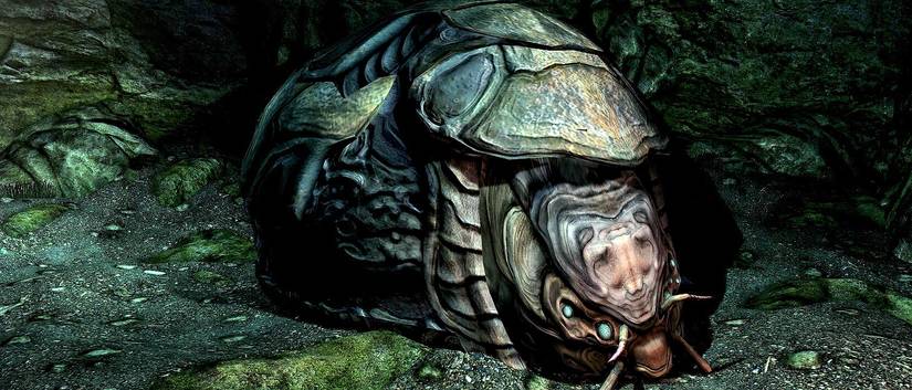 Shellbug 10 Rarest Skyrim Discoveries From Players In 2023