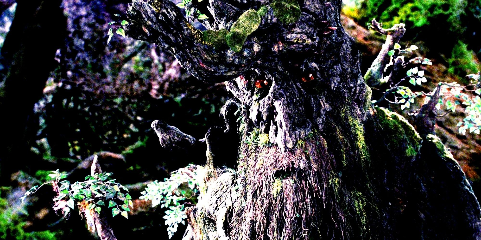 Treebeard looking down in The Lord Of The Rings.