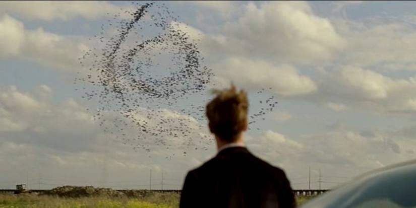 Rust Cohle looks at birds swirling in the sky in True Detective season 1