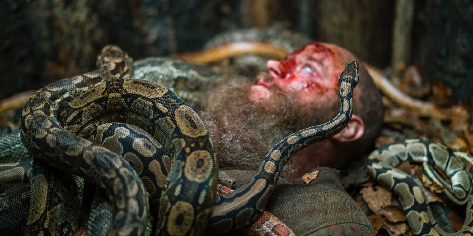 Ragnar in the pit of snakes in Vikings