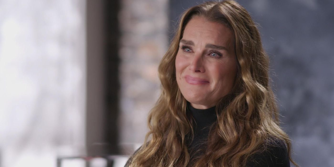 Brooke Shields' 10 Best Movies & TV Shows, Ranked