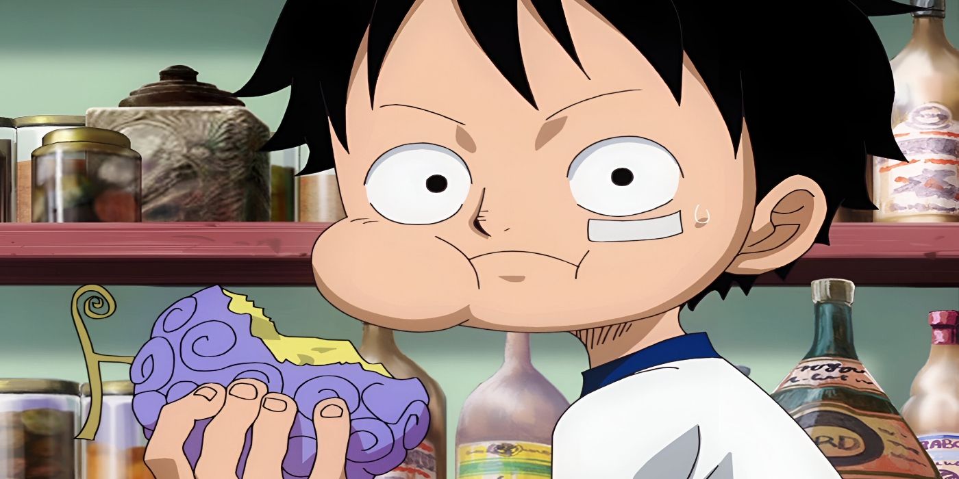 25 Years Later, One Piece's Biggest Devil Fruit Debate Is Finally Settled image