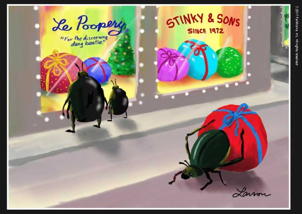 gary larson's new far side comic for christmas dung beetles shop for dung balls