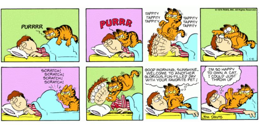 Garfield Attacking 10 Funniest Garfield Comics Where Garfield Beats Up Jon