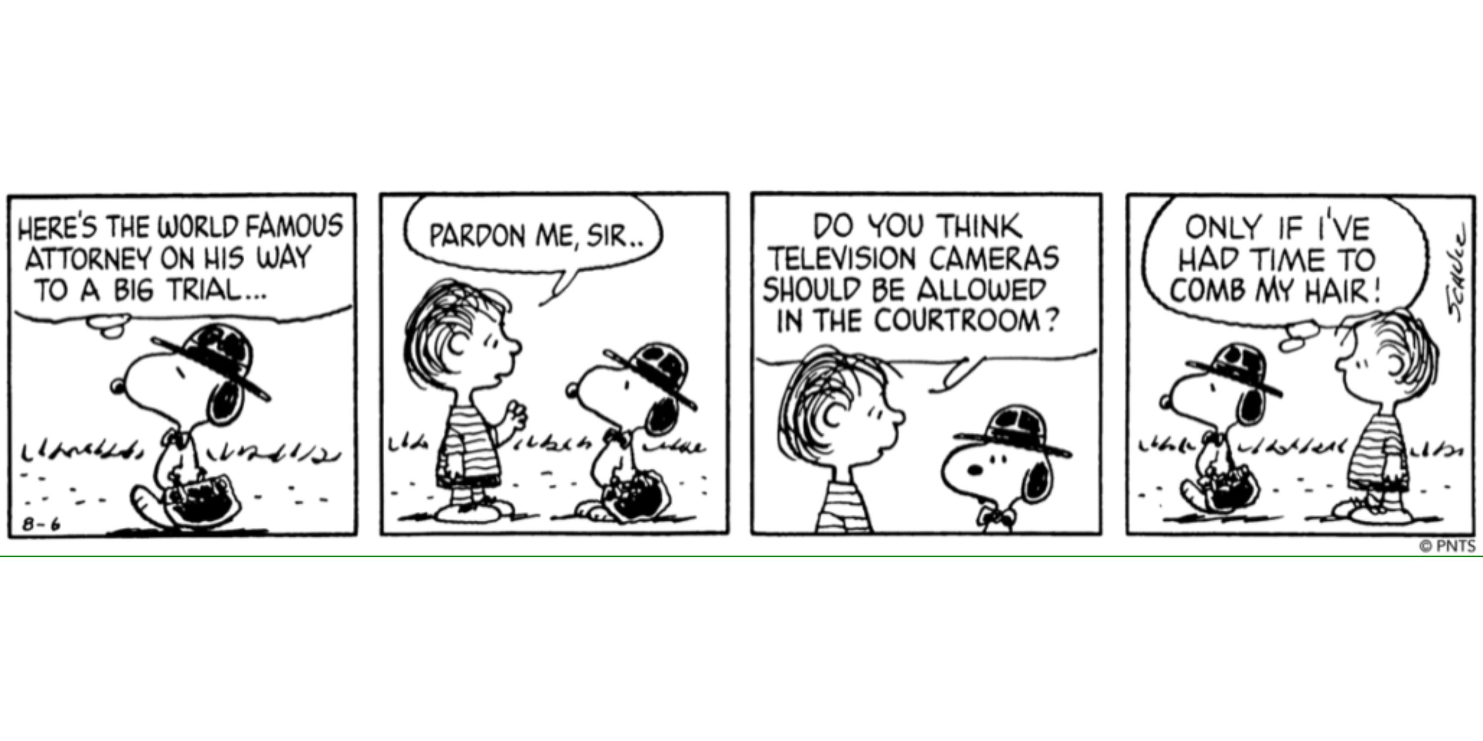 Peanuts: 10 Best Snoopy Alter Egos - From Joe Cool to the World-Famous ...