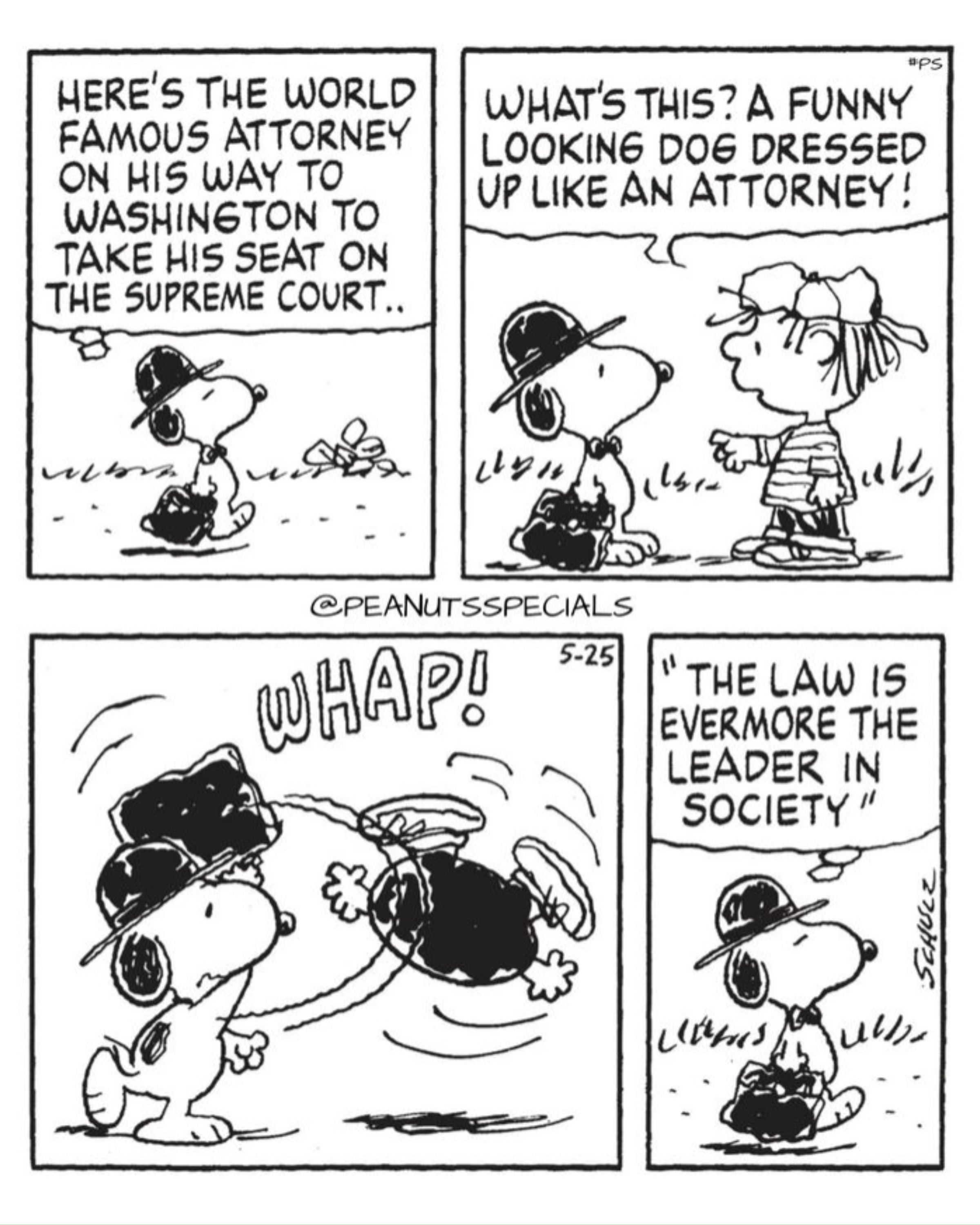 Peanuts: 10 Best Snoopy Alter Egos - From Joe Cool to the World-Famous ...