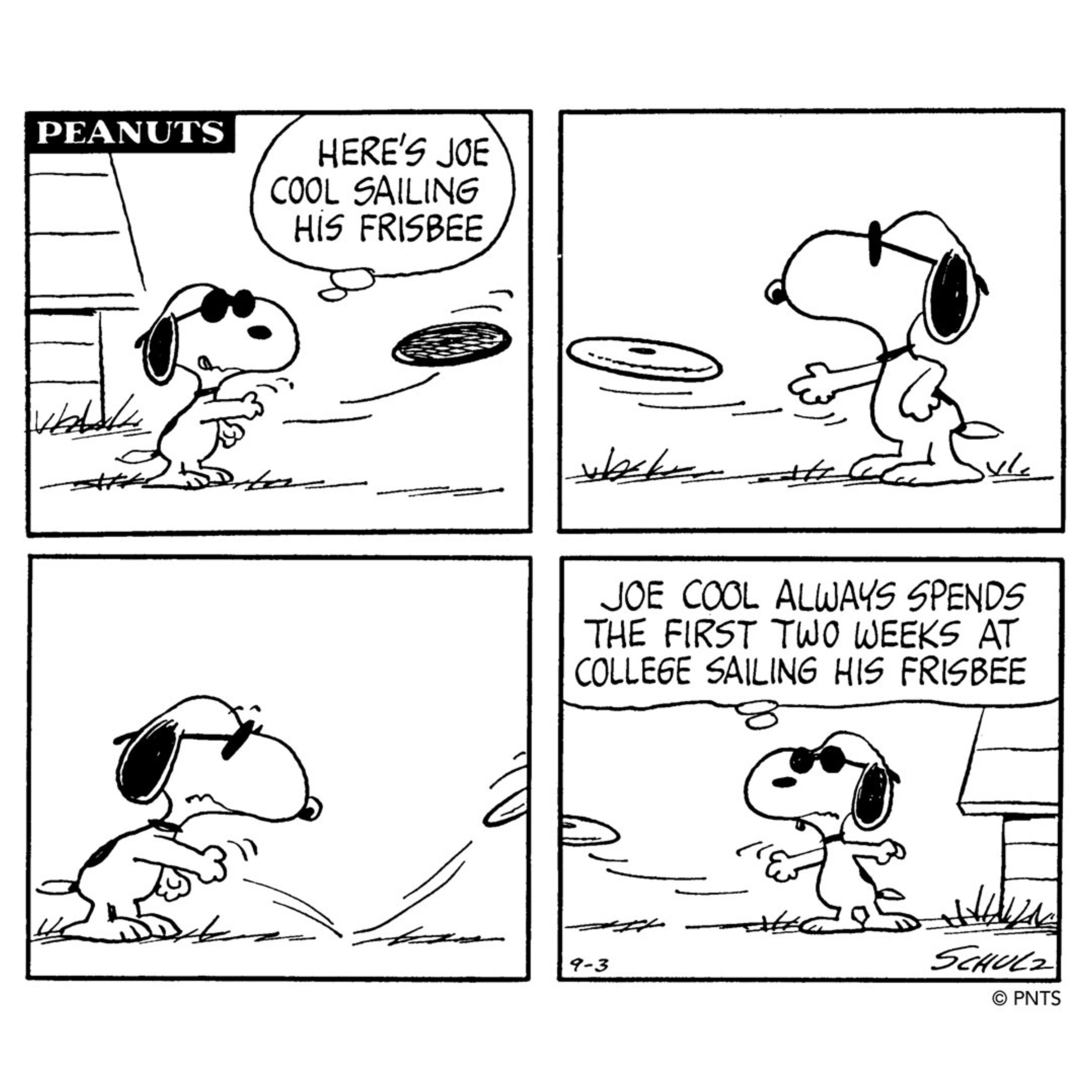 Peanuts: 10 Best Snoopy Alter Egos - From Joe Cool to the World-Famous ...