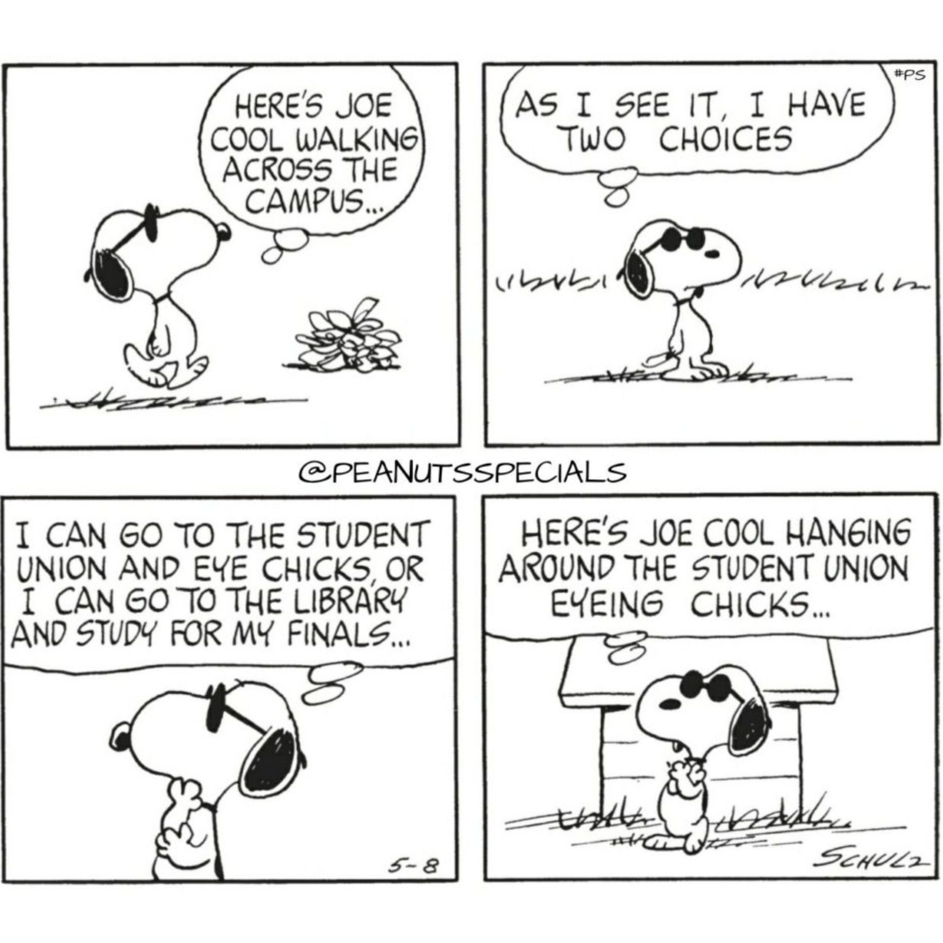 Peanuts: 10 Best Snoopy Alter Egos - From Joe Cool to the World-Famous ...