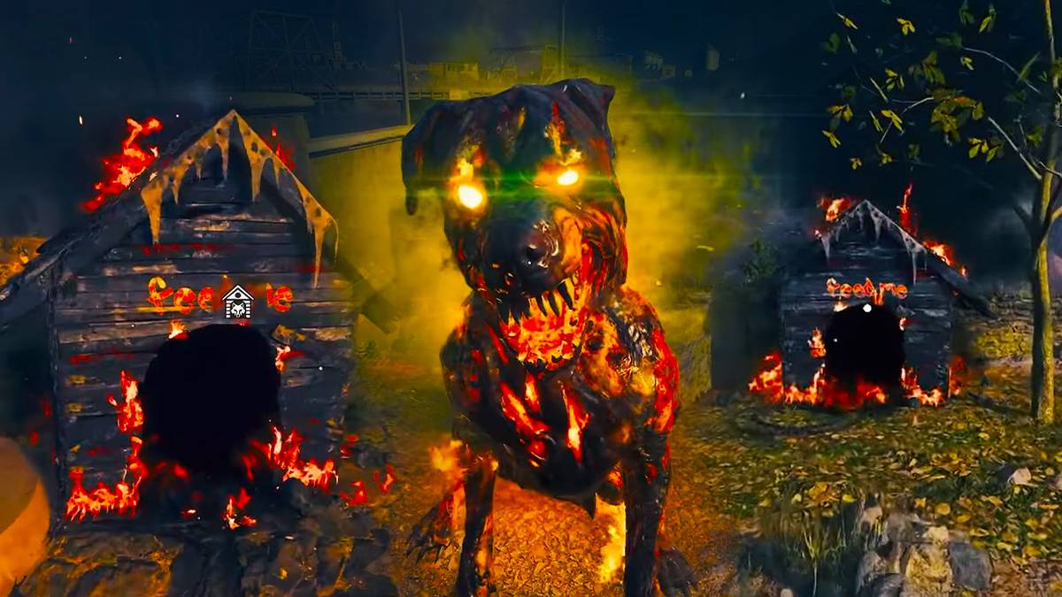 Cod Mw1 Dogs Which Call Of Duty Has Dogs