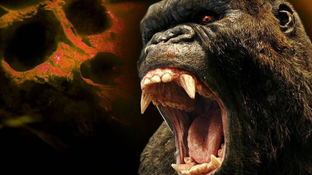 Tugma nuqsonlari bilan porno mushuk