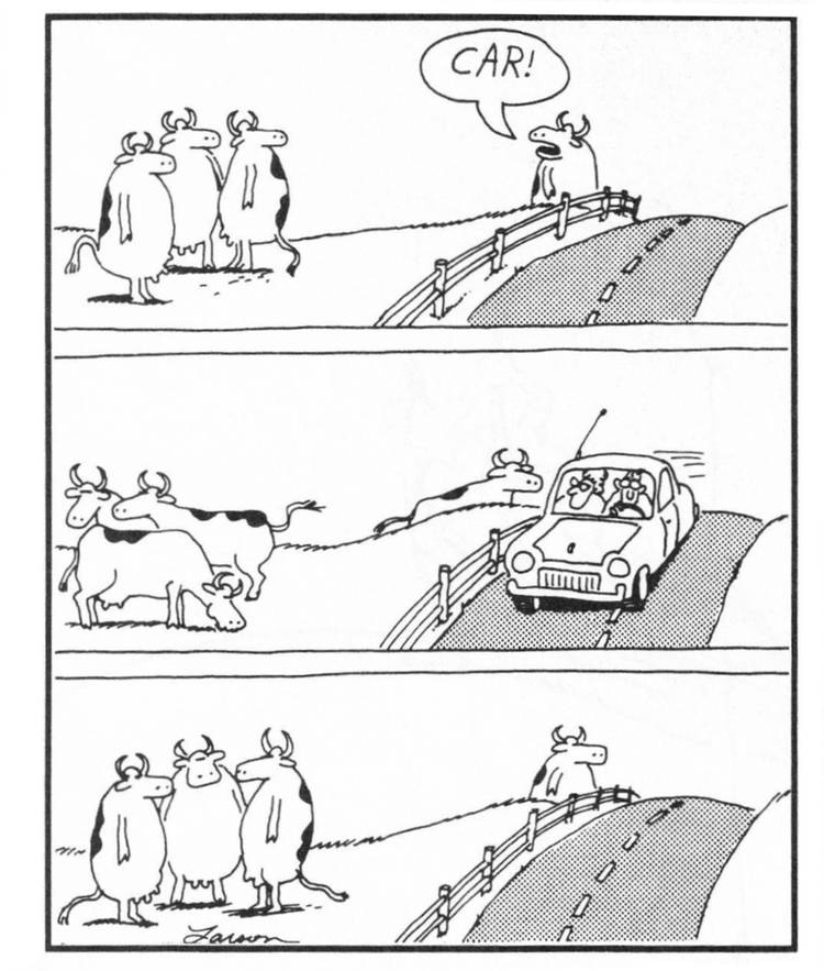 Far Side's Funniest Cow Comic Is So Good, It Inspired a Hilarious